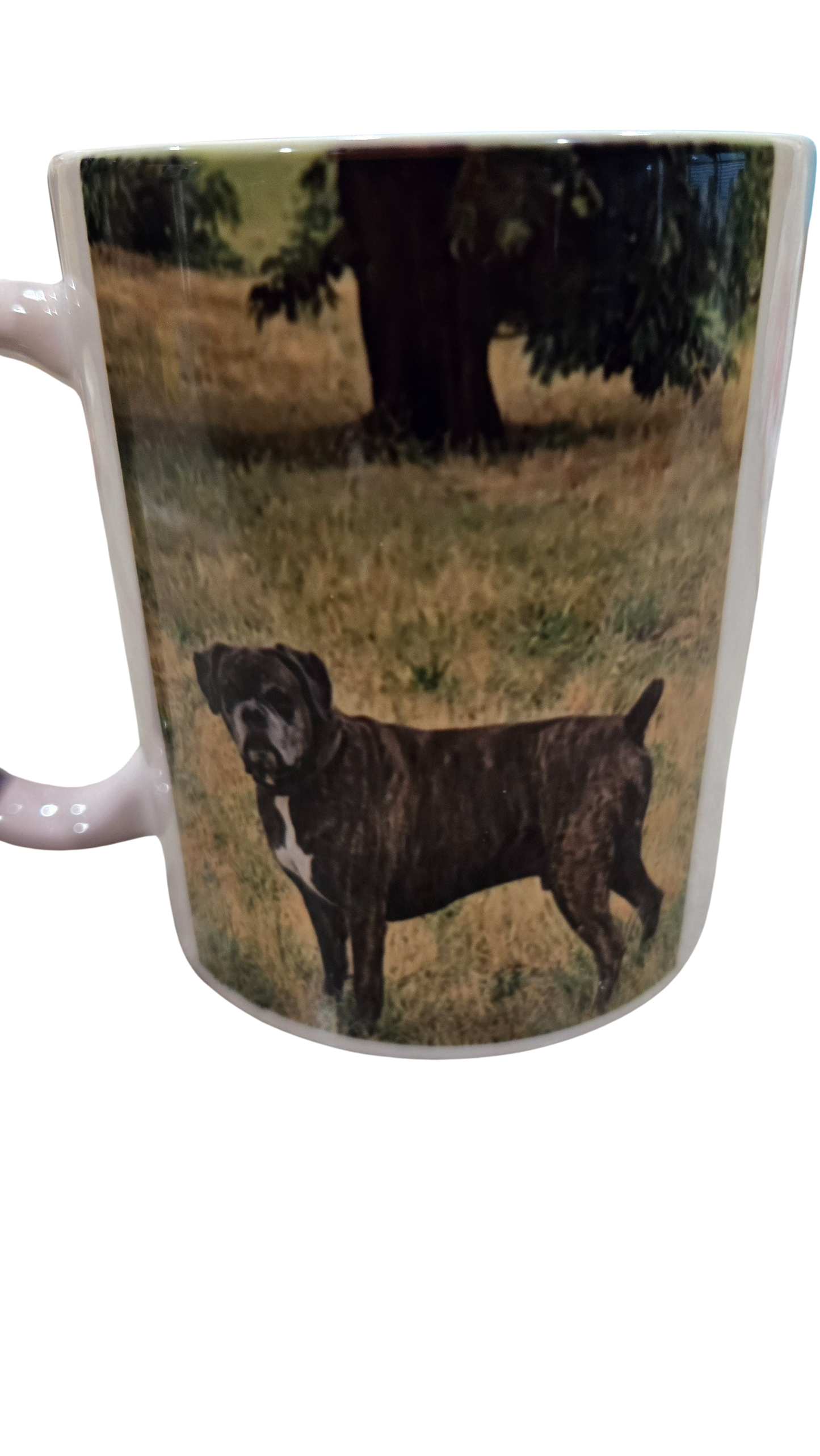 Magic Mug 15oz