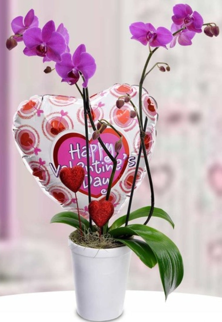 Orchid with personalized frame